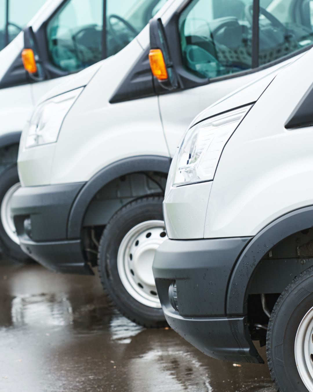 Seguros Colectivos de Autos
